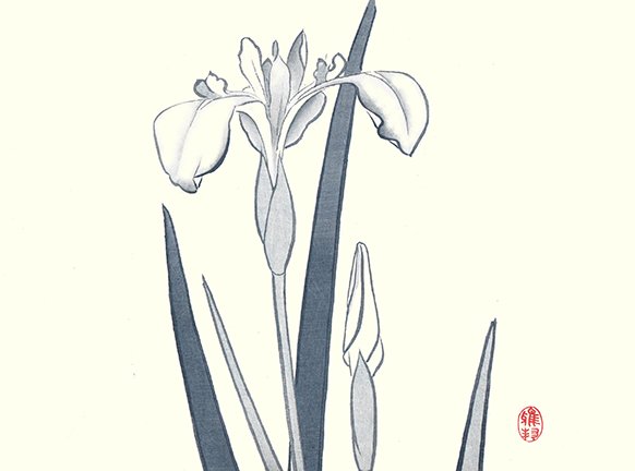 photo9.jpg