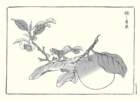 photo2_small.jpg