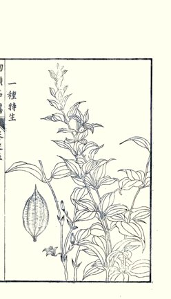 photo23.jpg