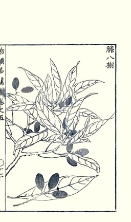 photo27.jpg