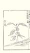 photo28_small.jpg