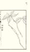 photo3_small.jpg