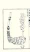 photo8_small.jpg