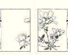 photo14_small.jpg