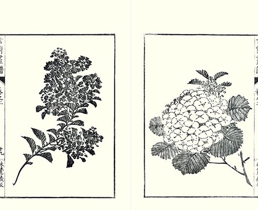 photo18.jpg