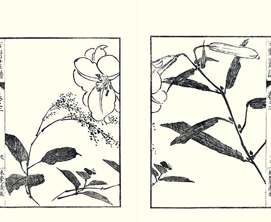 photo19.jpg