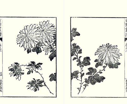 photo23.jpg