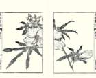 photo6_small.jpg