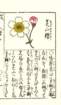 photo12_small.jpg