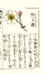 photo14_small.jpg