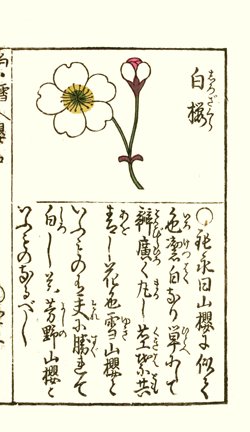 photo19.jpg