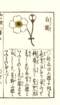 photo19_small.jpg