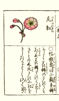 photo34.jpg