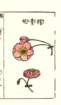 photo35_small.jpg