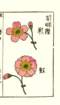 photo36_small.jpg