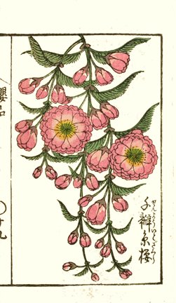 photo7.jpg