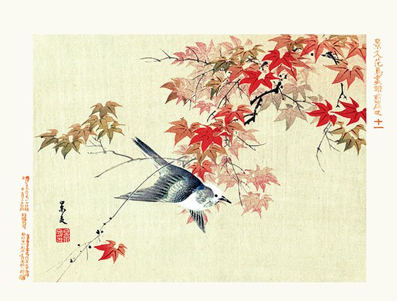 photo11.jpg
