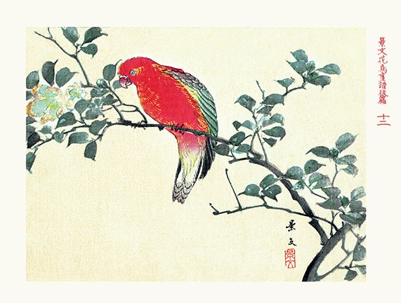 photo12.jpg
