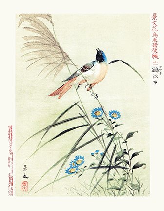 photo11.jpg