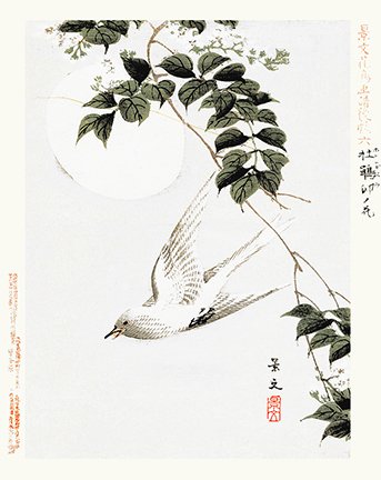 photo6.jpg