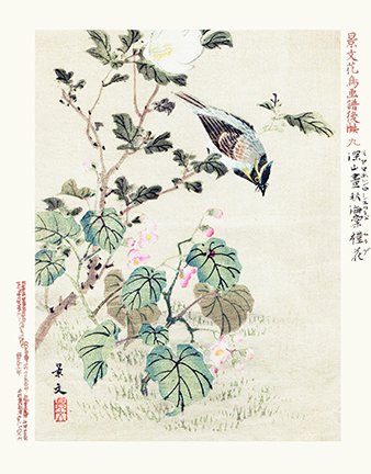 photo9.jpg
