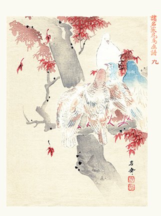 photo9.jpg