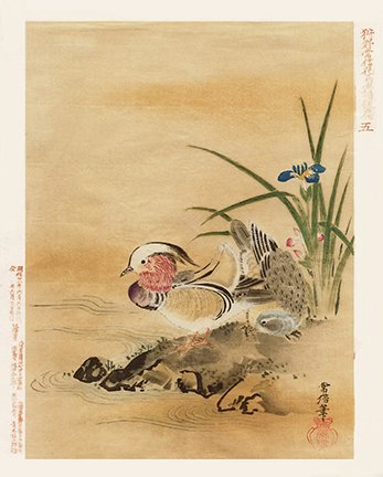 photo5.jpg