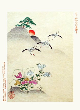 photo10.jpg