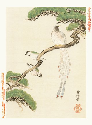 photo2.jpg
