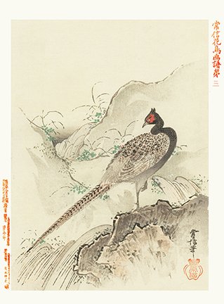 photo3.jpg