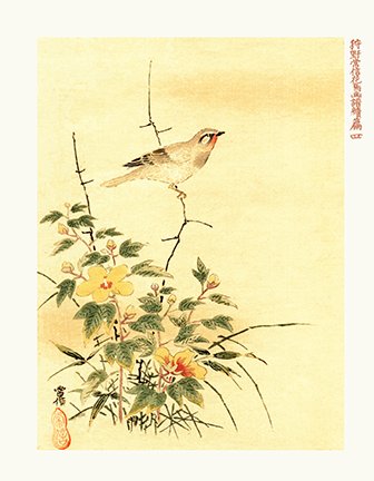 photo4.jpg
