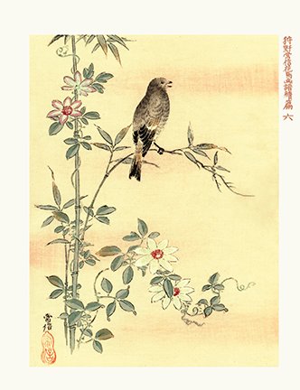 photo6.jpg