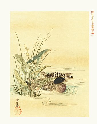 photo8.jpg