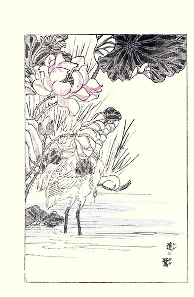 photo11.jpg