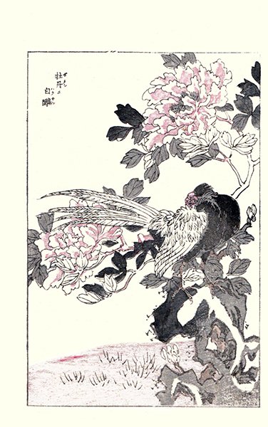 photo3.jpg