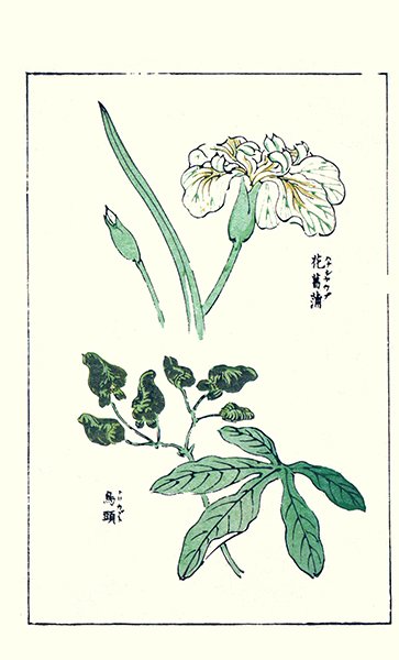 photo10.jpg