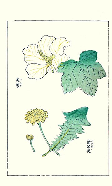 photo4.jpg