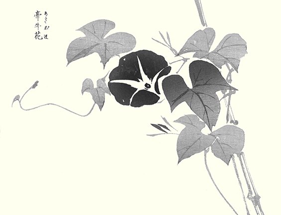 photo12.jpg