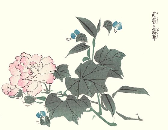 photo14.jpg