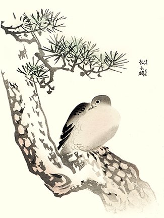 photo16.jpg