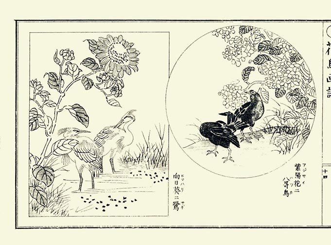 photo14.jpg