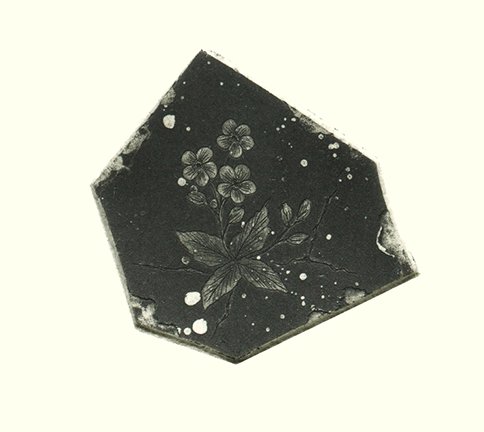 photo8.jpg