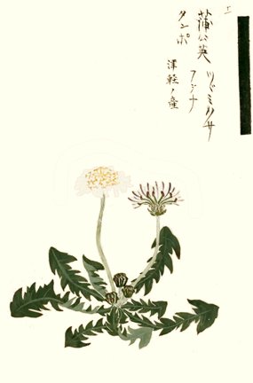 photo11.jpg