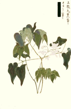 photo13.jpg