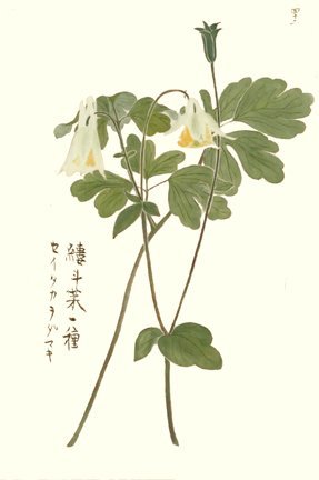 photo35.jpg