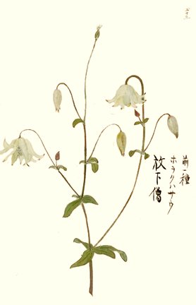 photo36.jpg