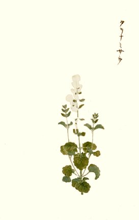 photo38.jpg
