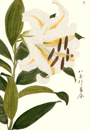photo44.jpg