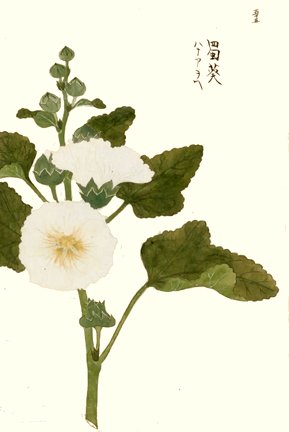 photo47.jpg