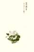 photo5_small.jpg